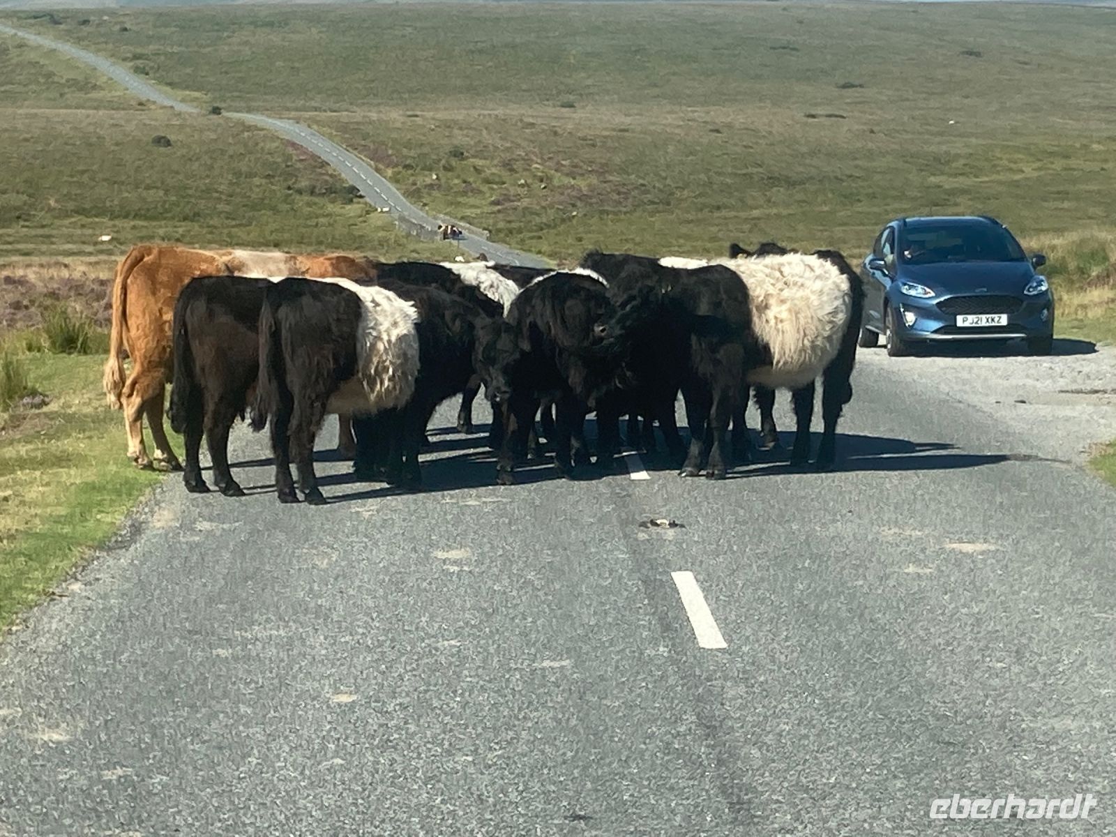 Wer hat denn nun Vorfahrt?