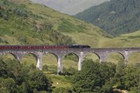 Irgendwo da sitzen Harry, Ron und Hermi(o)ne