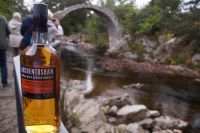 Horse Pack Bridge, Carrbridge