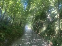 die Straße als Herausvorderung