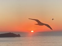 nicht schlecht, oder?