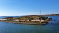 20220812 171542 Fortinsel Ijmuiden