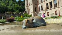20170729_164524 Belfast Castle