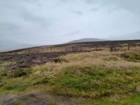 Cairngoms Nationalpark