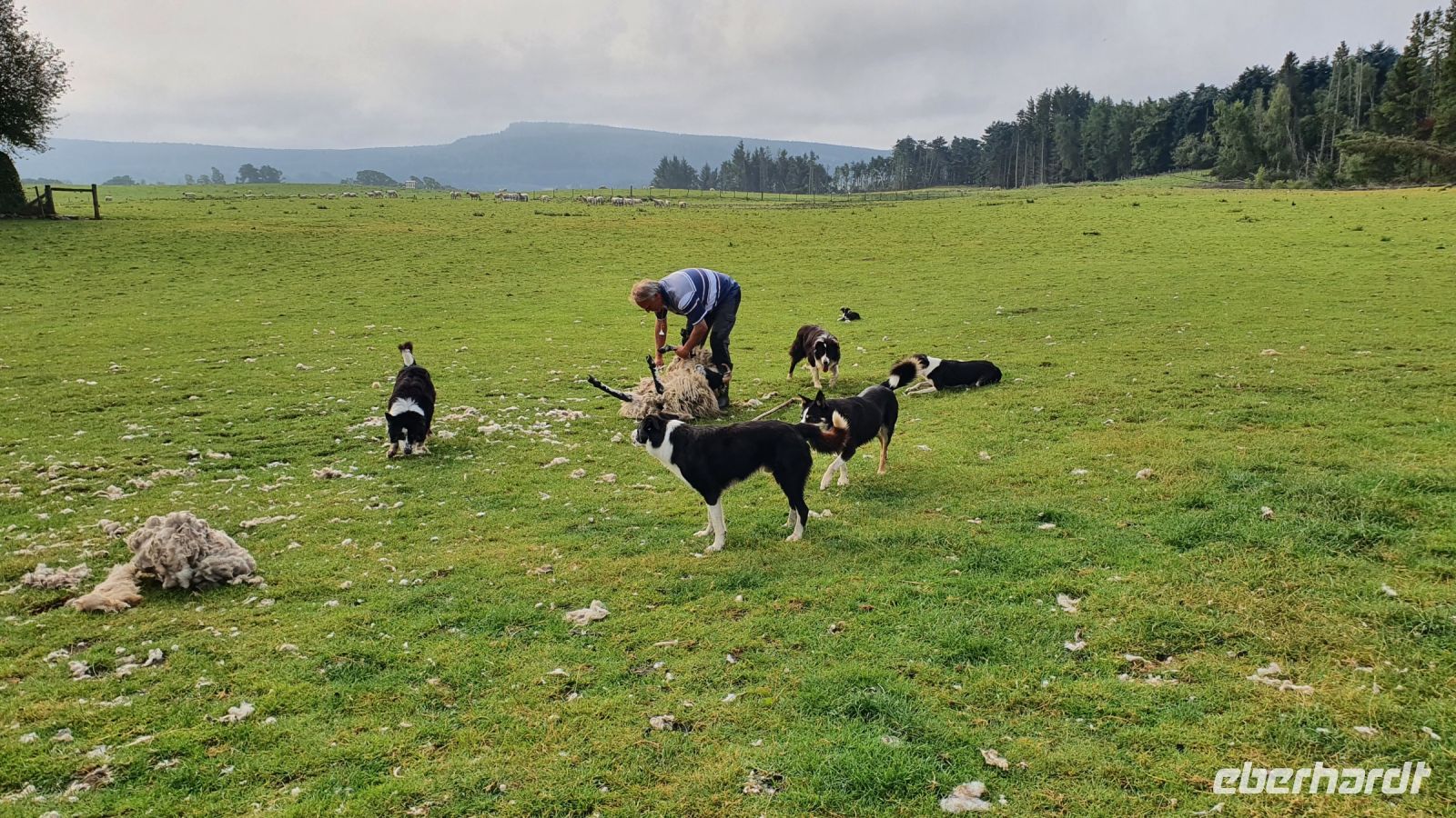 20220815 092428 beim Schäfer