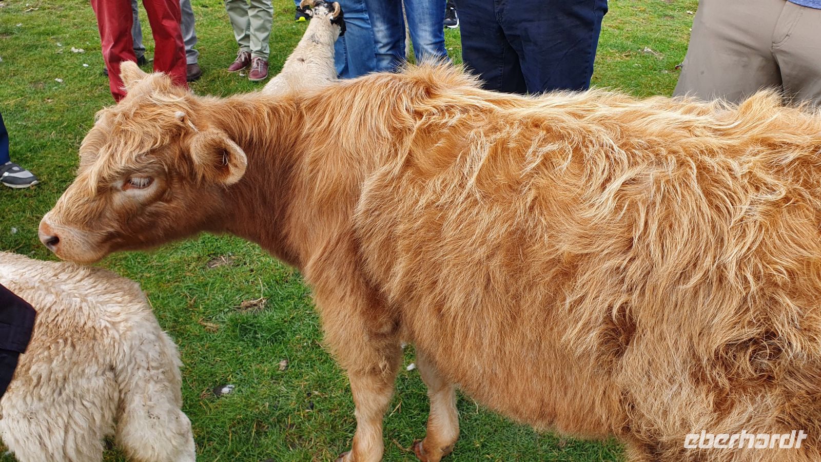 20220815 093054 Kalb Anita 