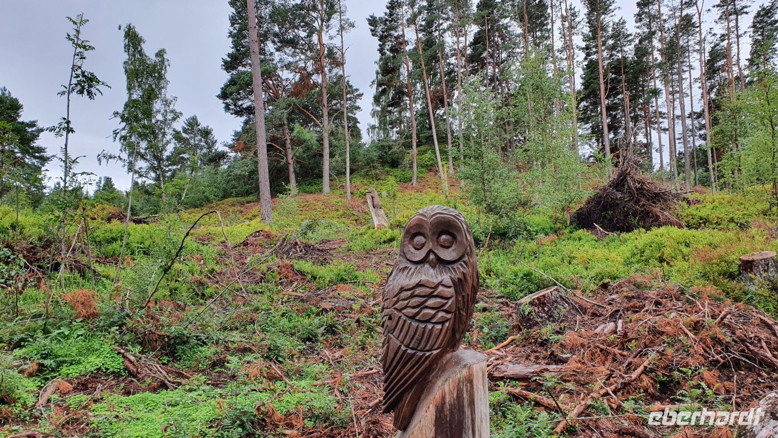 20220816 102040 Highland Folk Museum