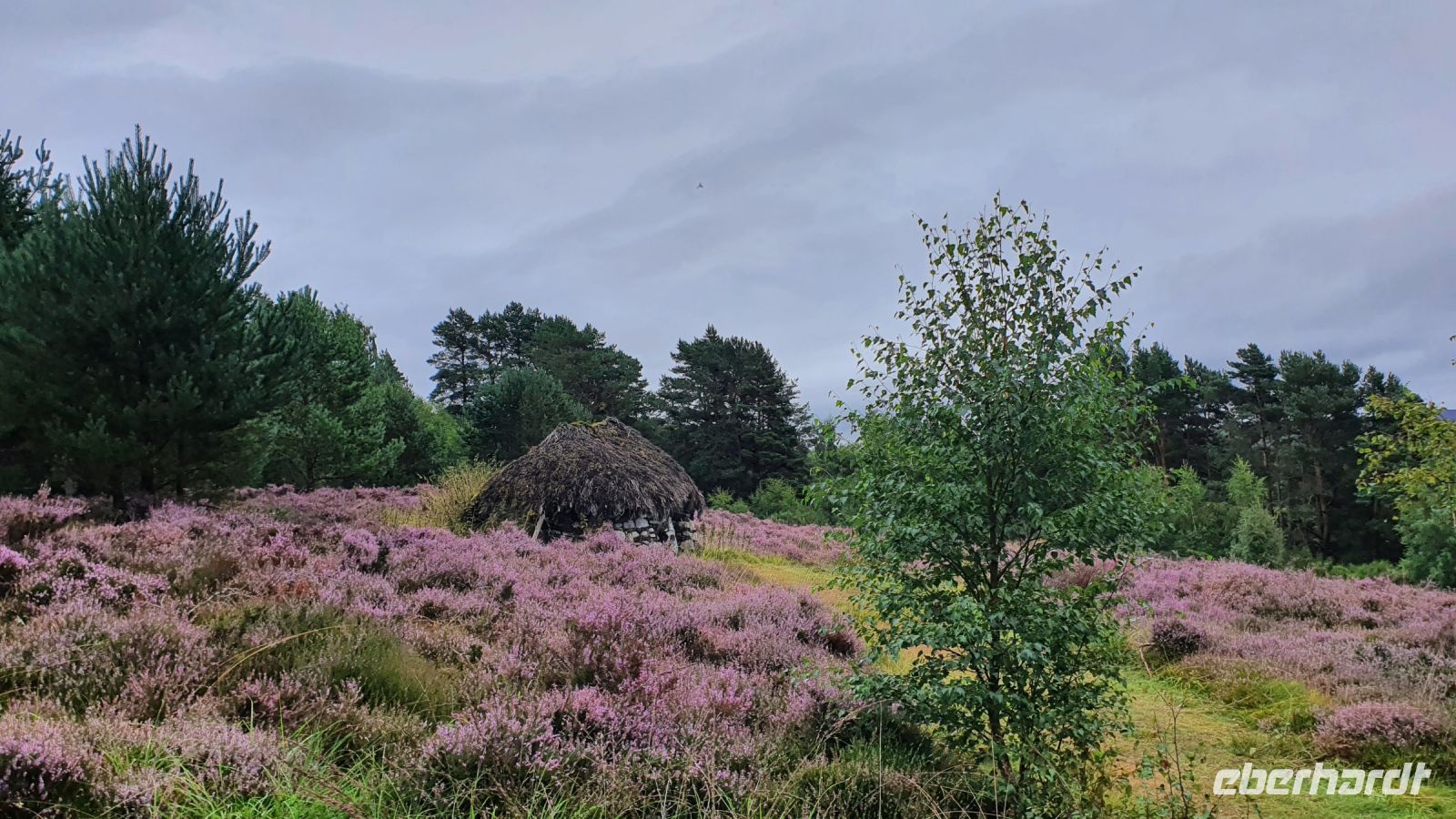 20220816 111618 Hütte im  Highland Folk Museum