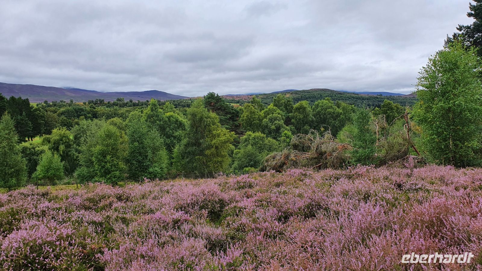 20220816 111917 im  Highland Folk Museum