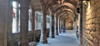 175 Chester Cathedral, Kreuzgang