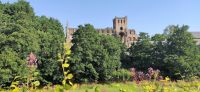 362 Jedburgh Abbey