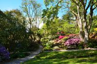 202 Bodnant Garden