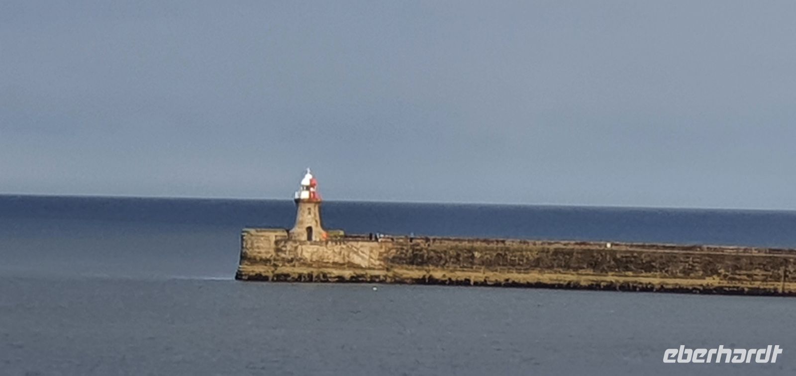 20220820 171649 Mole Newcastle