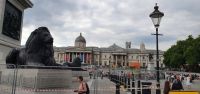 20220826 174118  Stadtrundfahrt London . Trafalger Square 