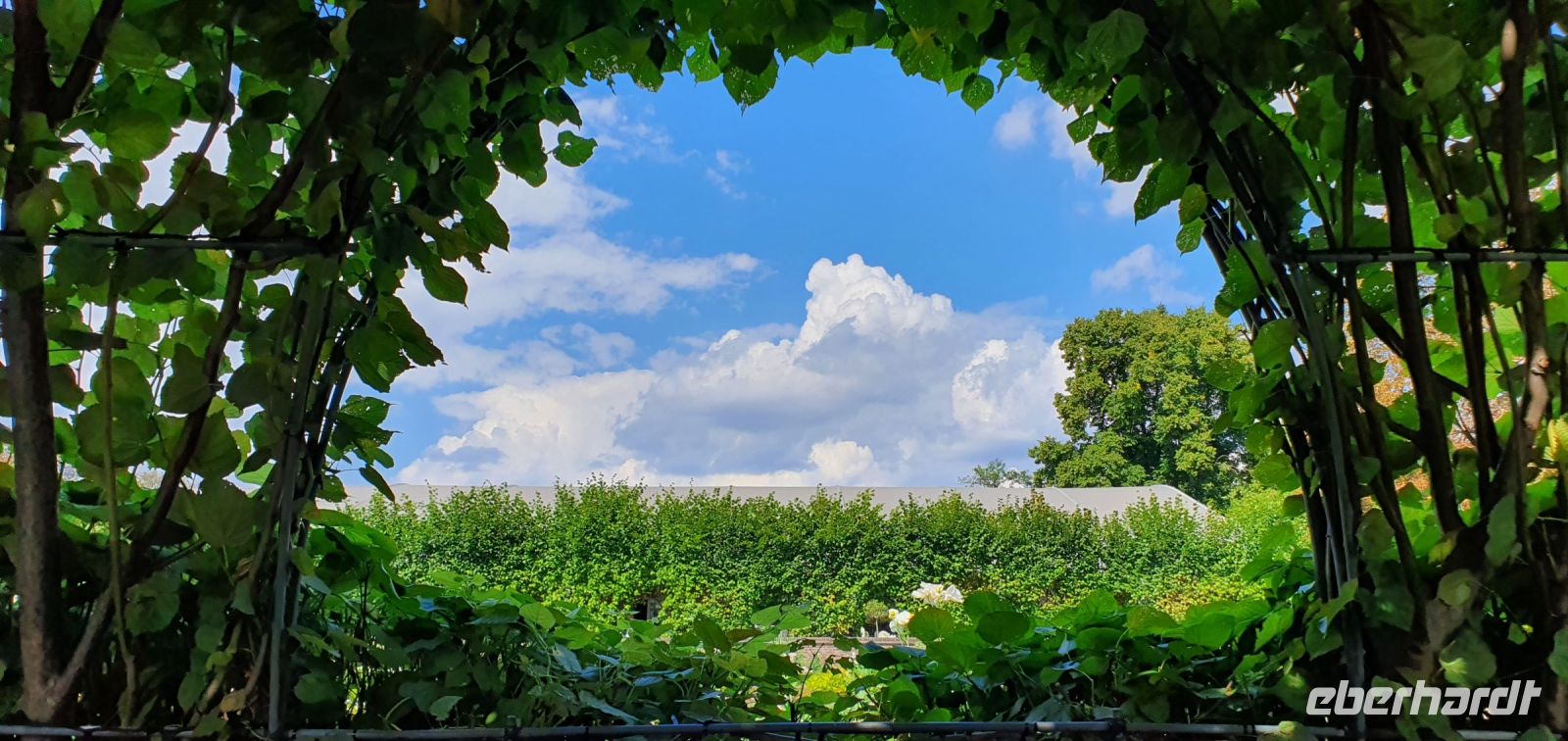 20220827 135048 Kensington Gardens