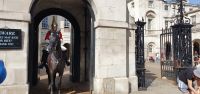 20220828 101827 Horse Guards