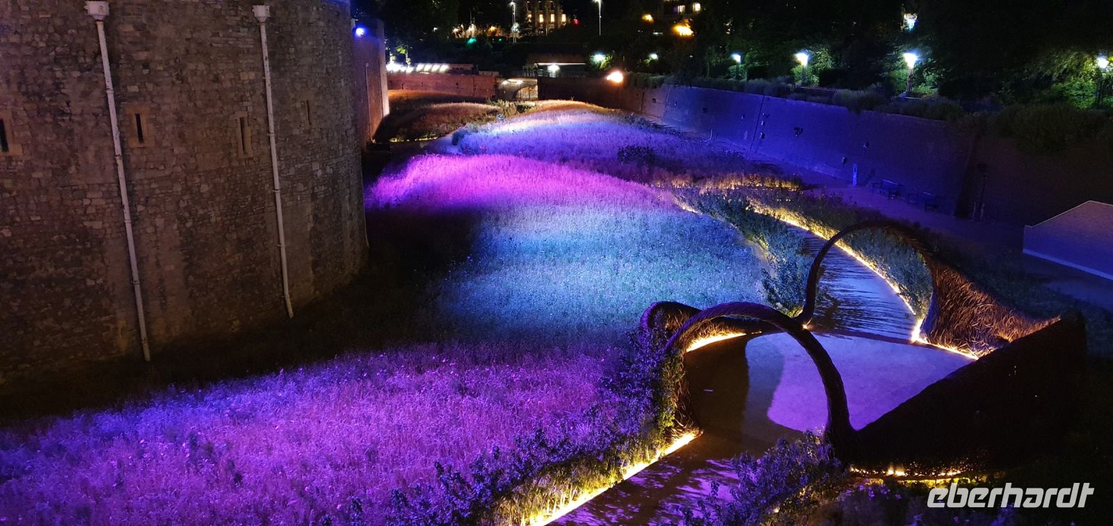 20220828 213534 Superbloom am Tower