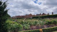 20220803 121428 Hampton Court Palace