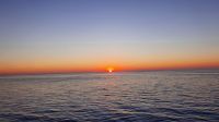 20220813 053506 Guten Morgen 