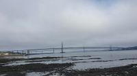 20220814 100418 Forth Road Bridge im Nebel