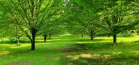 20230611_105857  Arley Arborethum and Gardens.jpg