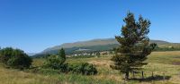 20230615 094618 Dalwhinnie Distillery