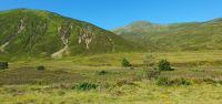 20230615 095554Fahrt durch die Grampion Mountains