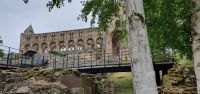 20230617 113130Jedburgh Abbey
