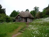 Killerton House & Garden