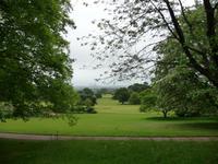 Killerton House & Garden
