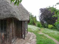 Killerton House & Garden