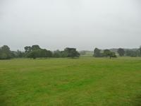 Killerton House & Garden