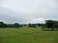 Killerton House & Garden