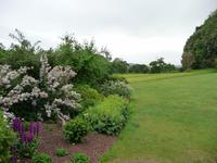 Killerton House & Garden