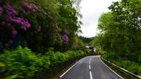 204 Cambrian Mountains