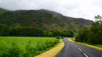 206 Cambrian Mountains