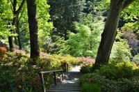 207 Bodnant Garden