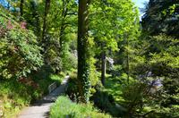 208 Bodnant Garden