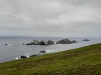 Hermaness Nature Reserve