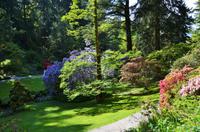 209 Bodnant Garden