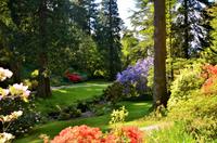 210 Bodnant Garden