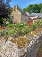 Garten an der Kathedrale in Dornoch