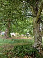 am Craigievar Castle