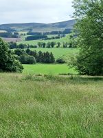 Blick vom Craigievar Castle
