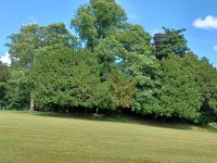 Park vom Scone Palace