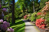 211 Bodnant Garden