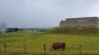 20230711 182713 Roys Castle 