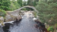 20230712 085346 Old Packhorse Bridge in Carrbridge 