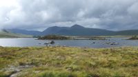 Rannoch Moor 20230729 160741 001