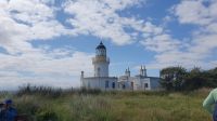 Chanonry Point im Moray Firth 20230801 133332